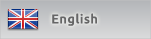 LANG_ENGLISH